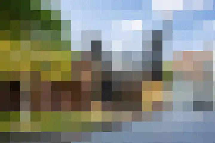 Zoemerenstraat 8 's-Hertogenbosch thumbnail 63