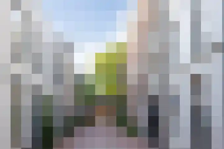 Zoemerenstraat 8 's-Hertogenbosch thumbnail 66