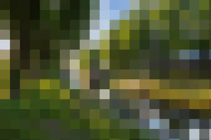 Zoemerenstraat 8 's-Hertogenbosch thumbnail 68