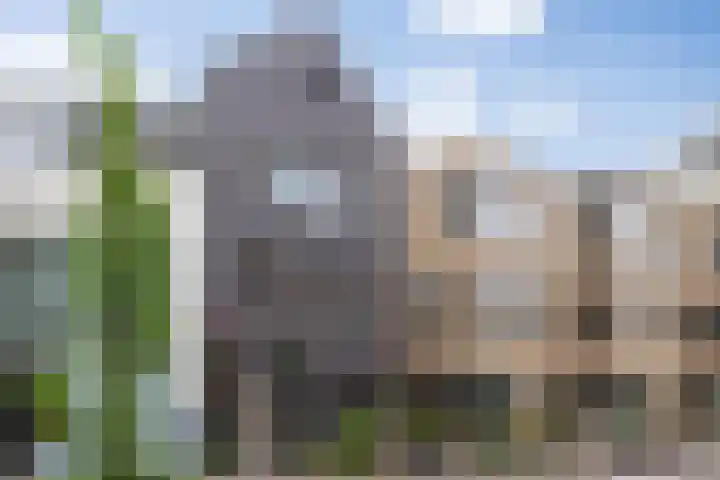 Zoemerenstraat 8 's-Hertogenbosch thumbnail 76