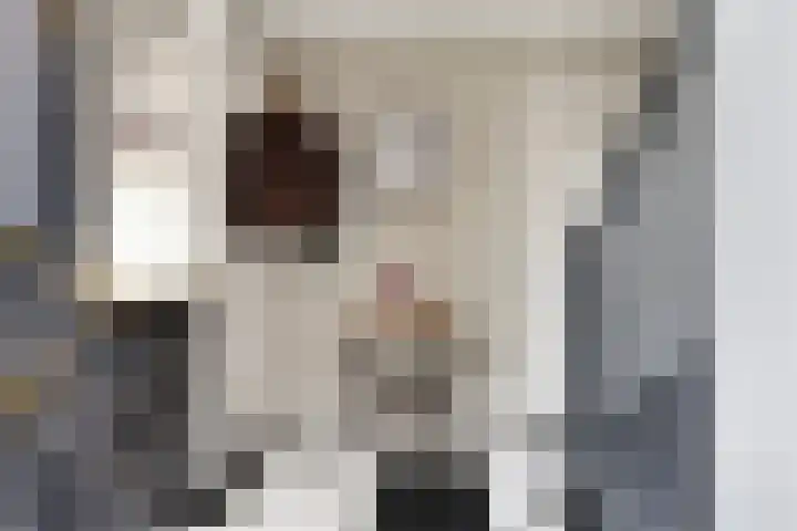 Zoerbeemden 15 Helmond thumbnail 11