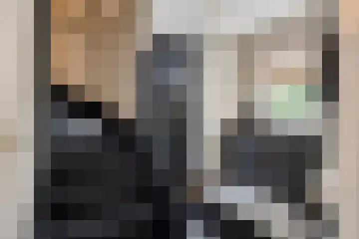 Zoerbeemden 15 Helmond thumbnail 12