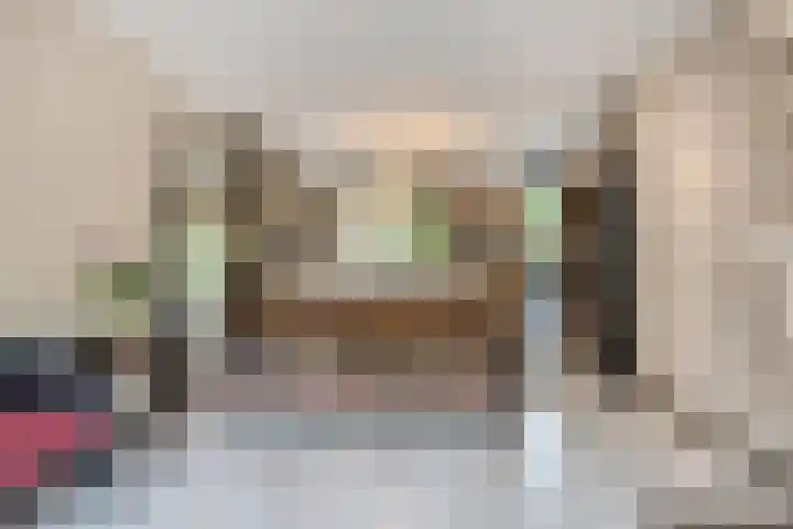 Zoerbeemden 15 Helmond thumbnail 13