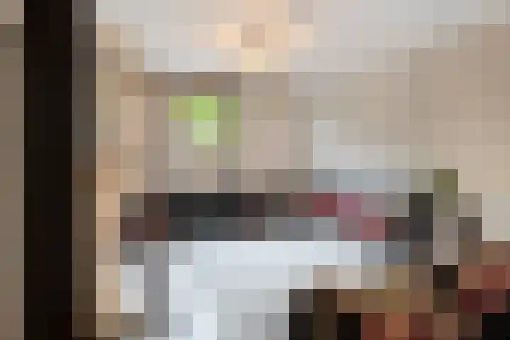 Zoerbeemden 15 Helmond thumbnail 14