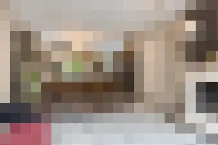 Zoerbeemden 15 Helmond thumbnail 16