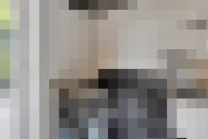 Zoerbeemden 15 Helmond thumbnail 18