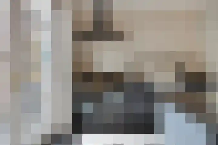 Zoerbeemden 15 Helmond thumbnail 19