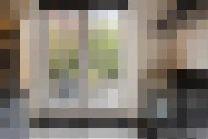 Zoerbeemden 15 Helmond thumbnail 20