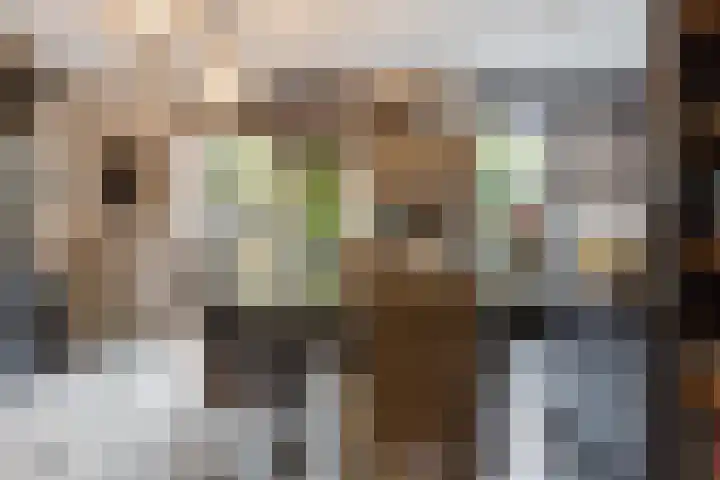 Zoerbeemden 15 Helmond thumbnail 22