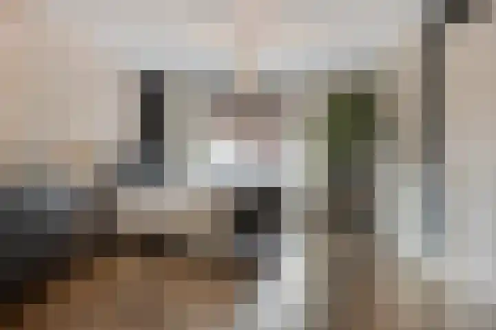 Zoerbeemden 15 Helmond thumbnail 25