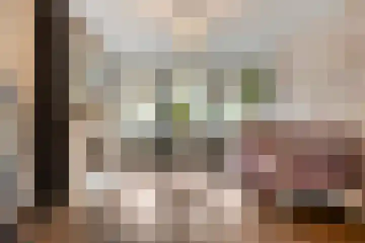 Zoerbeemden 15 Helmond thumbnail 27