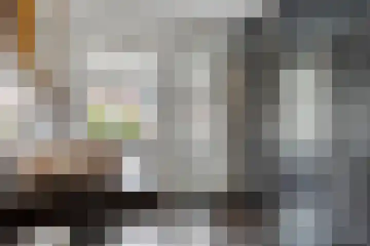 Zoerbeemden 15 Helmond thumbnail 28