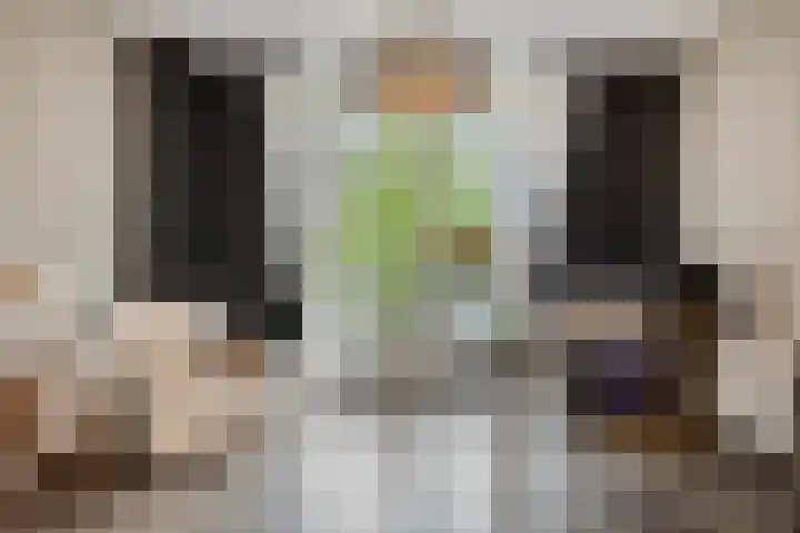 Zoerbeemden 15 Helmond thumbnail 30