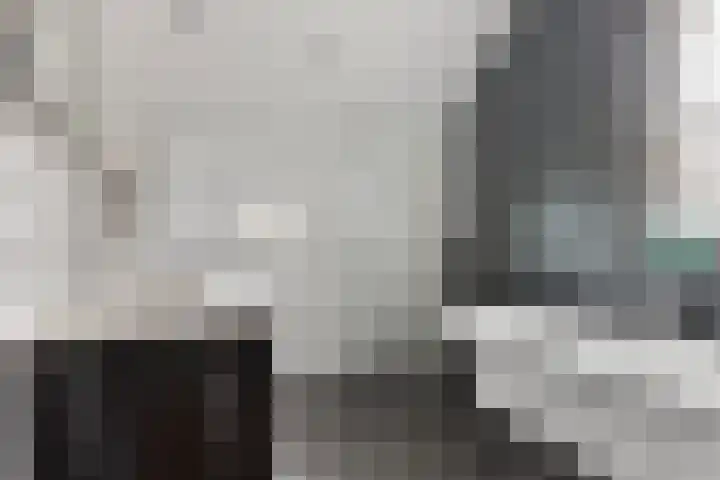 Zoerbeemden 15 Helmond thumbnail 33
