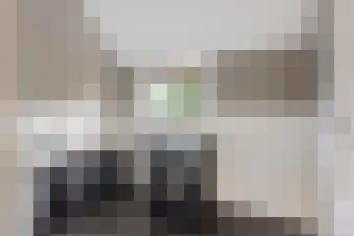 Zoerbeemden 15 Helmond thumbnail 35