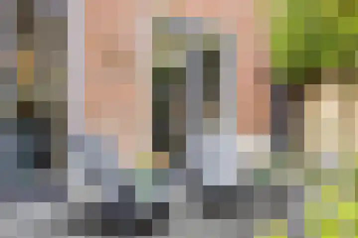 Zoerbeemden 15 Helmond thumbnail 36