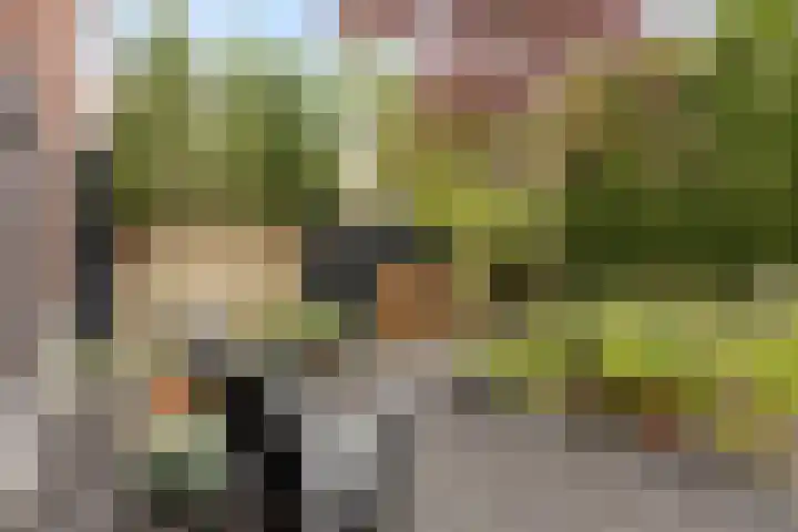 Zoerbeemden 15 Helmond thumbnail 37