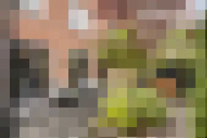 Zoerbeemden 15 Helmond thumbnail 38