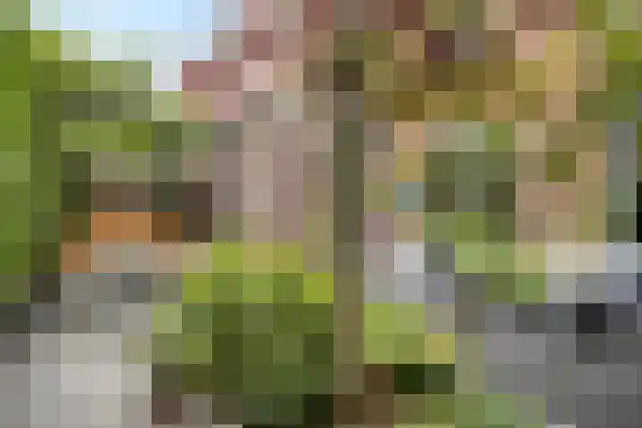 Zoerbeemden 15 Helmond thumbnail 39