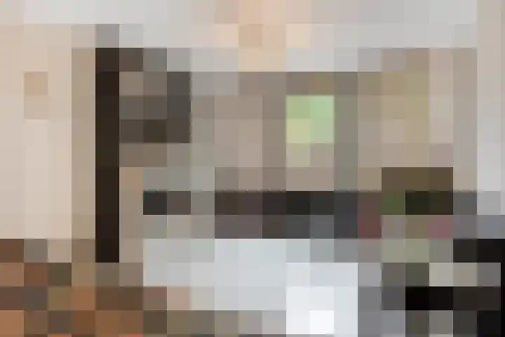 Zoerbeemden 15 Helmond thumbnail 4