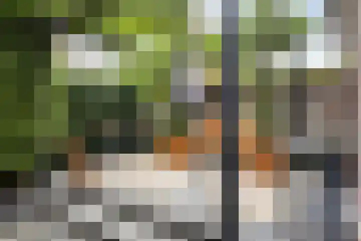 Zoerbeemden 15 Helmond thumbnail 40