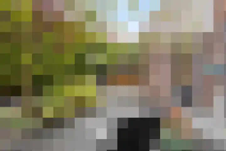 Zoerbeemden 15 Helmond thumbnail 41