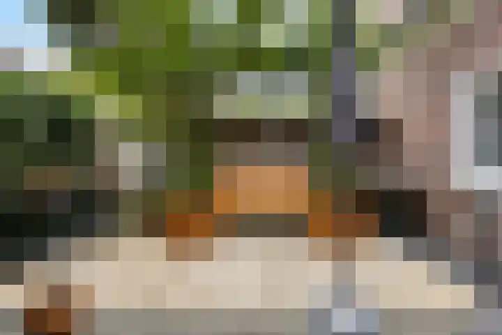 Zoerbeemden 15 Helmond thumbnail 42