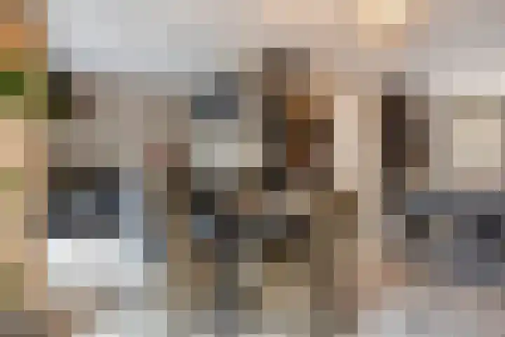 Zoerbeemden 15 Helmond thumbnail 5