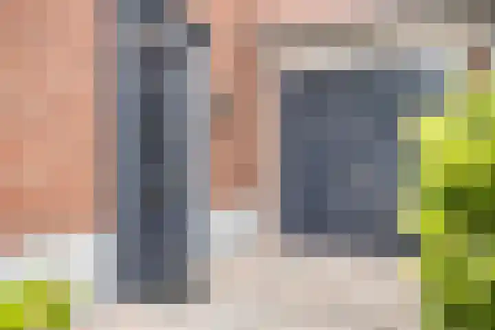 Zoerbeemden 15 Helmond thumbnail 8