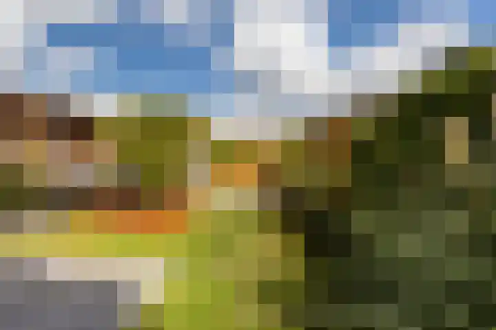 Zoete Aagt 41 Rijswijk thumbnail 21