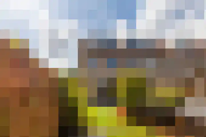 Zoete Aagt 41 Rijswijk thumbnail 22