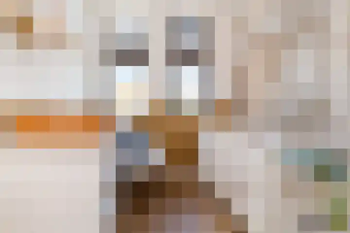 Zoete Aagt 41 Rijswijk thumbnail 27