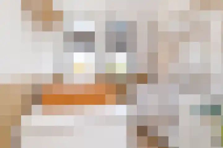 Zoete Aagt 41 Rijswijk thumbnail 28