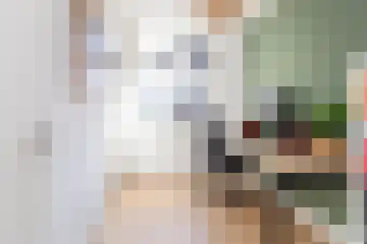 Zoete Aagt 41 Rijswijk thumbnail 29