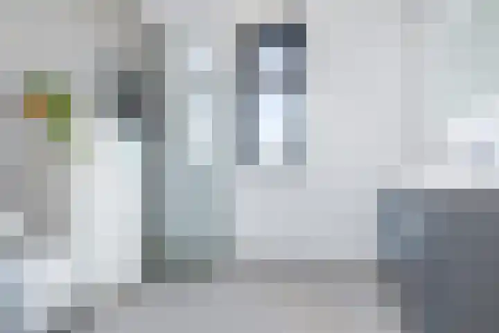 Zoete Aagt 41 Rijswijk thumbnail 31