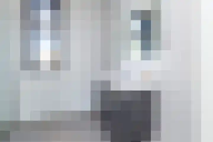 Zoete Aagt 41 Rijswijk thumbnail 32