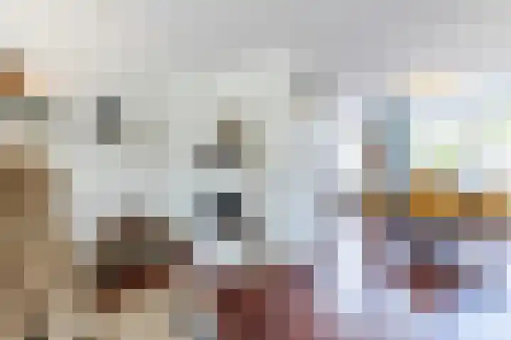 Zoete Aagtgaarde 26 Amersfoort thumbnail 12