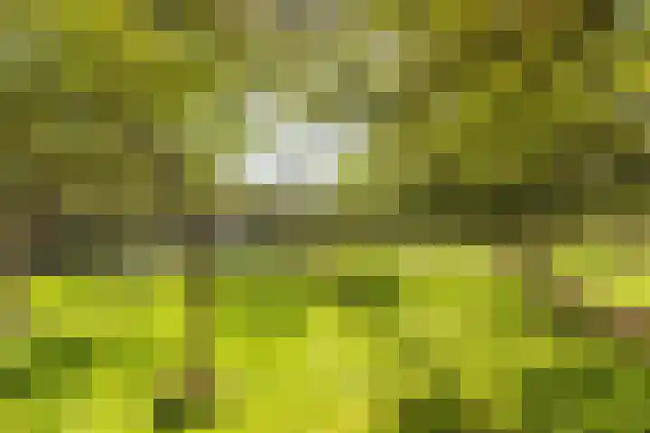 Zoete Aagtgaarde 26 Amersfoort thumbnail 35
