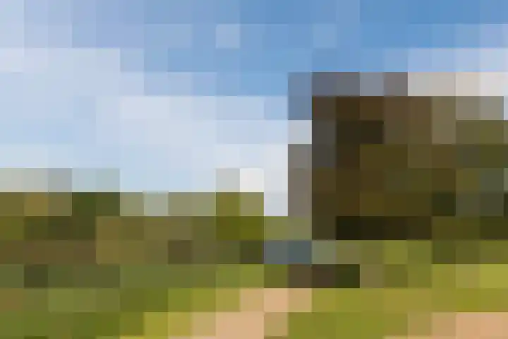 Zoete Aagtgaarde 26 Amersfoort thumbnail 37