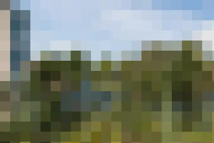 Zoete Aagtgaarde 26 Amersfoort thumbnail 38