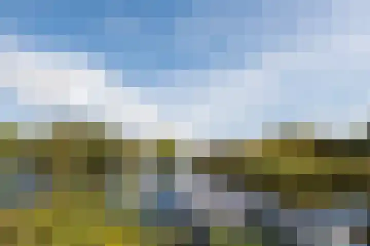 Zoete Aagtgaarde 26 Amersfoort thumbnail 39