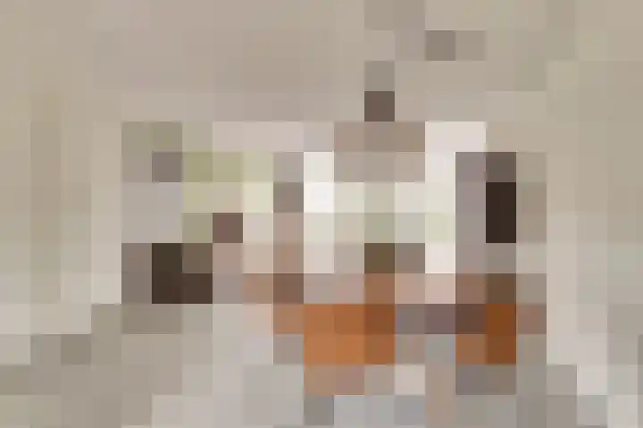 Zoete Brederodepad 12 Hoef en Haag thumbnail 11