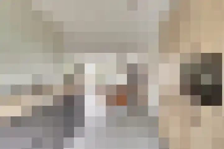 Zoete Brederodepad 12 Hoef en Haag thumbnail 17