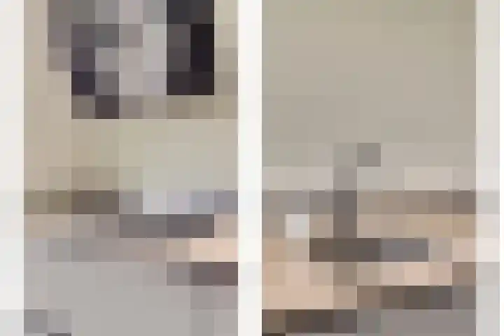 Zoete Brederodepad 12 Hoef en Haag thumbnail 19