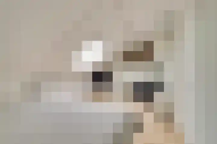 Zoete Brederodepad 12 Hoef en Haag thumbnail 30