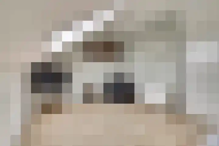 Zoete Brederodepad 12 Hoef en Haag thumbnail 31
