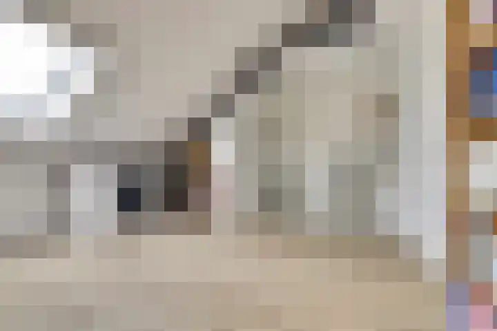 Zoete Brederodepad 12 Hoef en Haag thumbnail 32