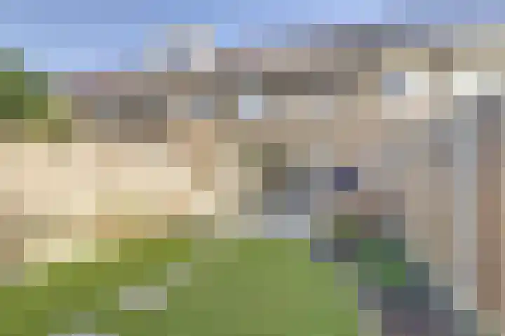 Zoete Brederodepad 12 Hoef en Haag thumbnail 38