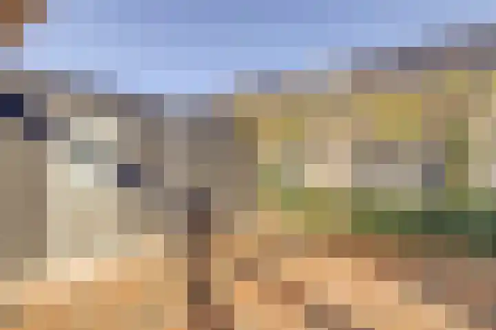 Zoete Brederodepad 12 Hoef en Haag thumbnail 40