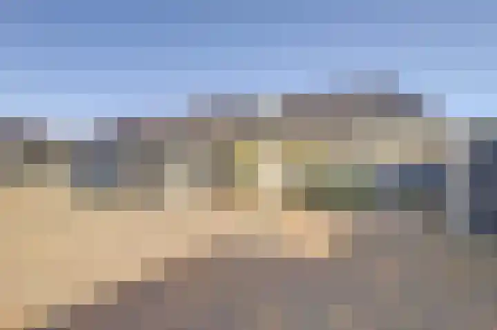 Zoete Brederodepad 12 Hoef en Haag thumbnail 42